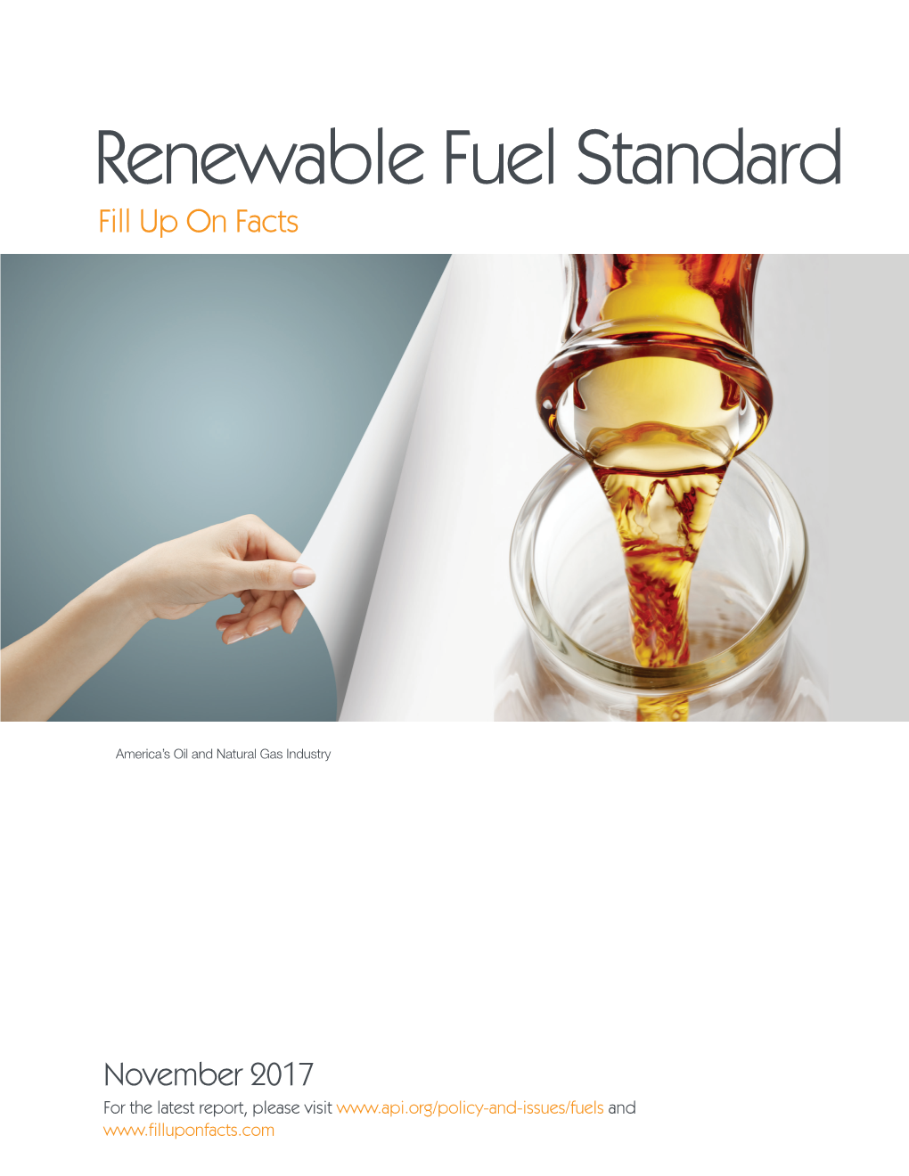 Renewable Fuel Standard Fill up on Facts