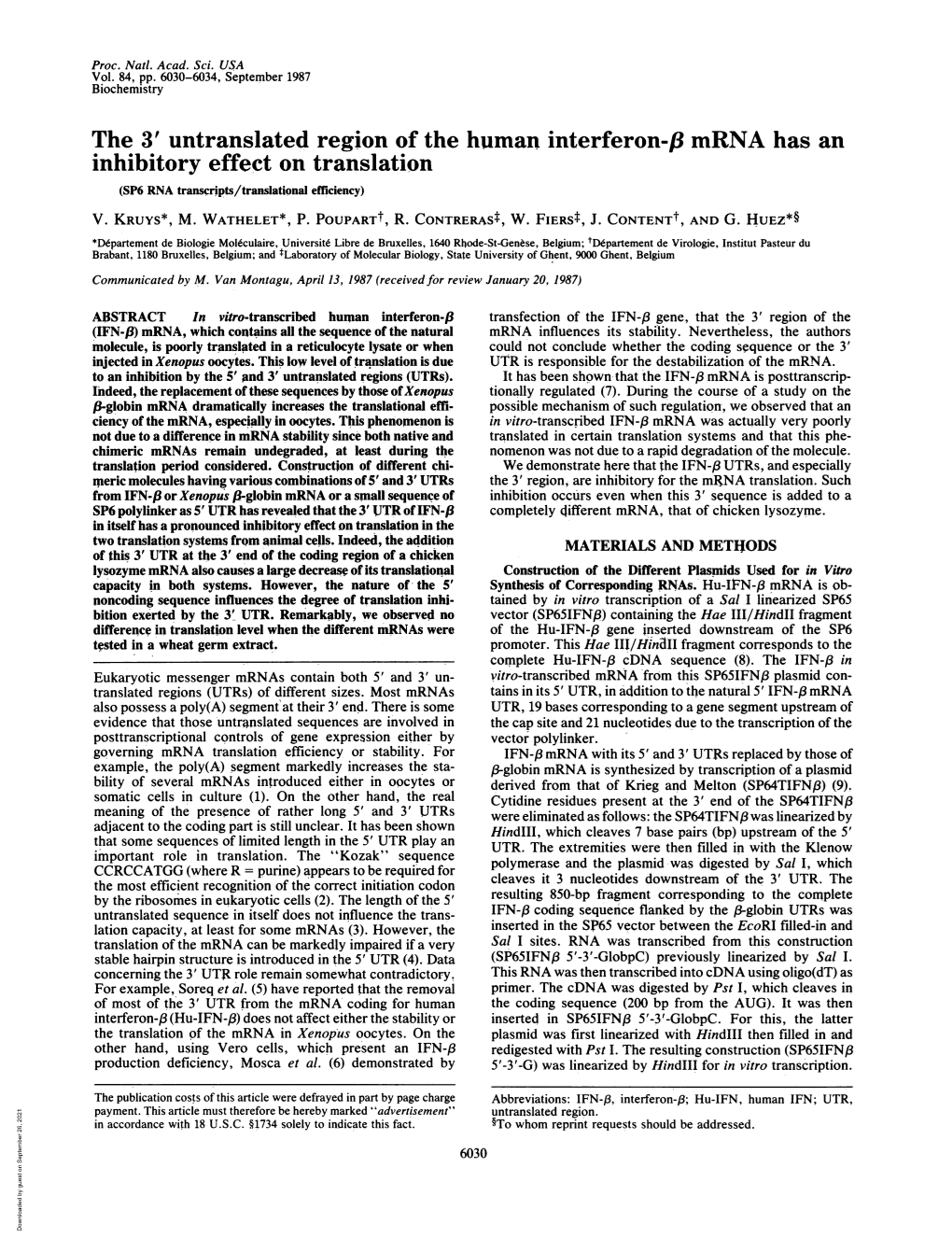 The 3' Untranslated Region of the Human Interferon-Fl Mrna Has an Inhibitory Effect on Translation (SP6 RNA Transcripts/Translational Efficiency) V