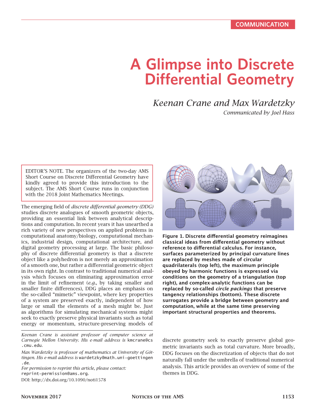 A Glimpse Into Discrete Differential Geometry