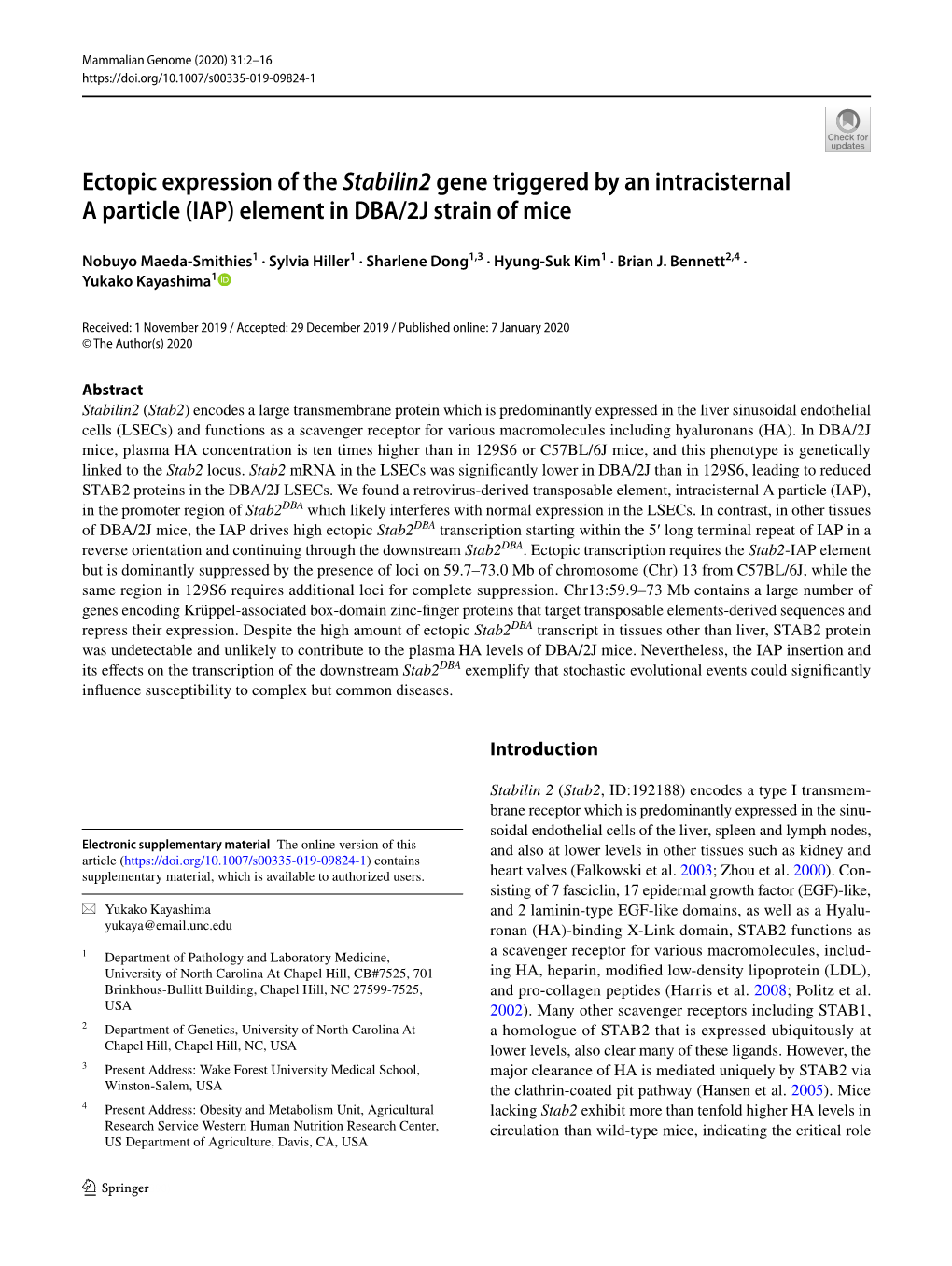 Ectopic Expression of the Stabilin2 Gene Triggered by an Intracisternal a Particle (IAP) Element in DBA/2J Strain of Mice