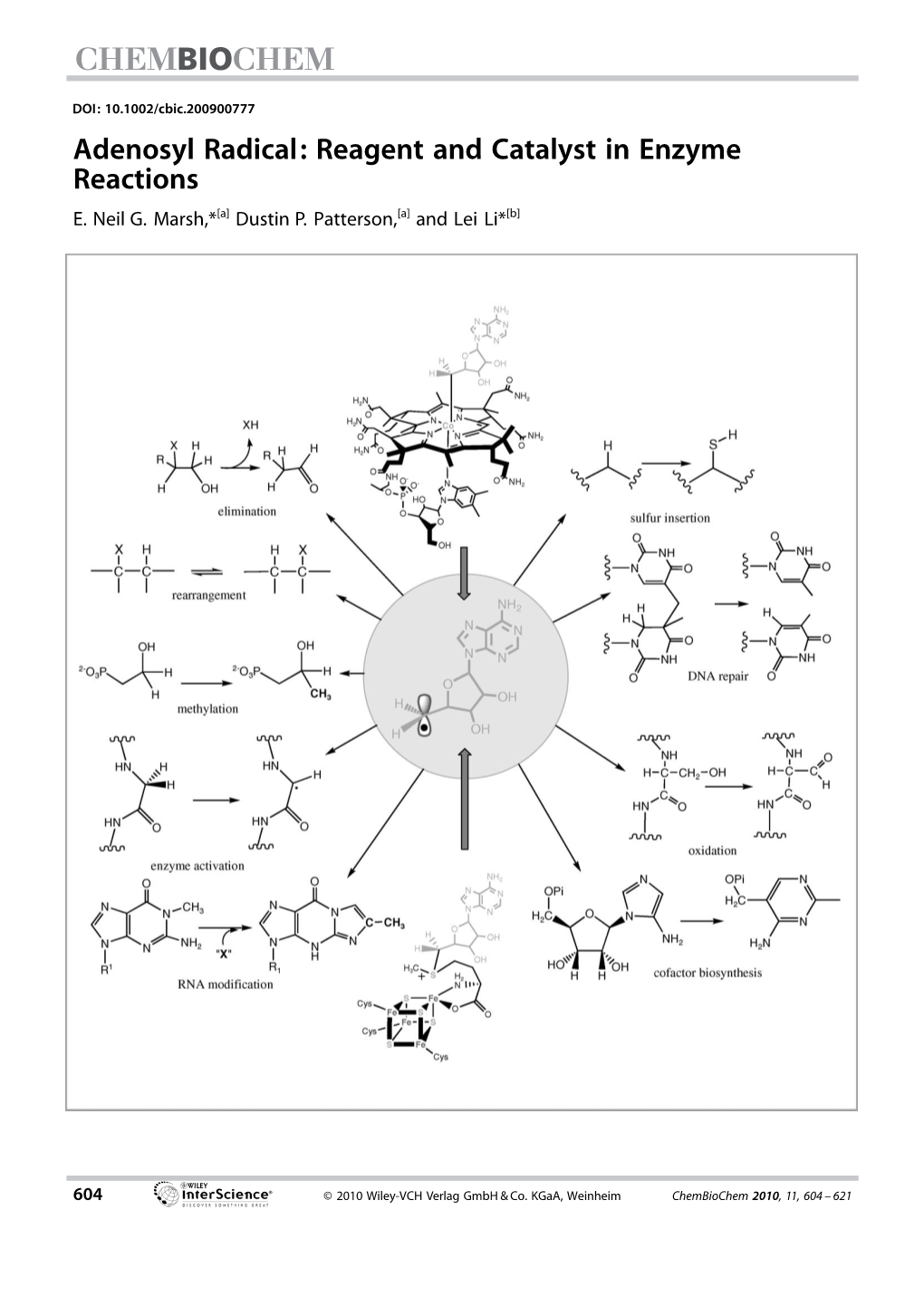 Adenosyl Radical: Reagent and Catalyst in Enzyme Reactions E