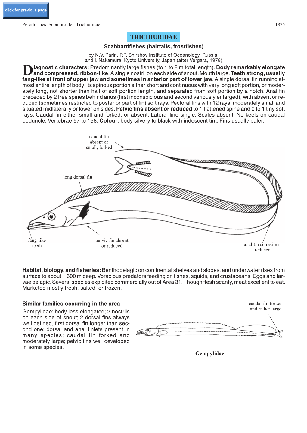 Trichiuridae 1825