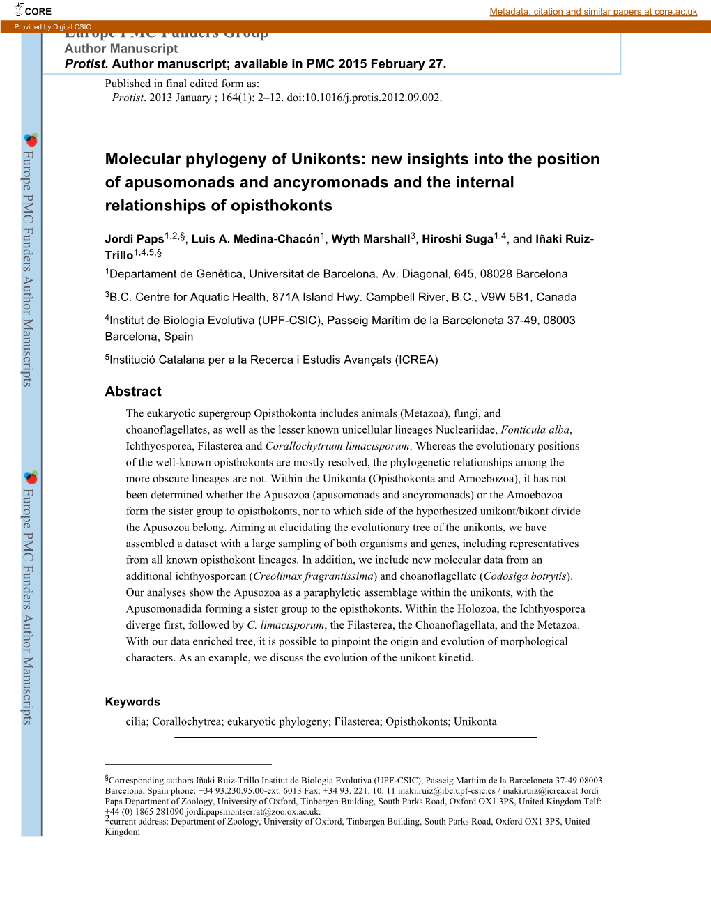 Molecular Phylogeny of Unikonts: New Insights Into the Position of Apusomonads and Ancyromonads and the Internal Relationships of Opisthokonts