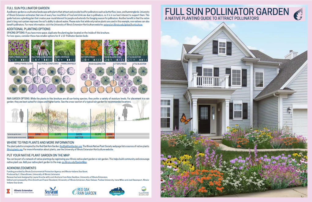 Full Sun Pollinator Garden