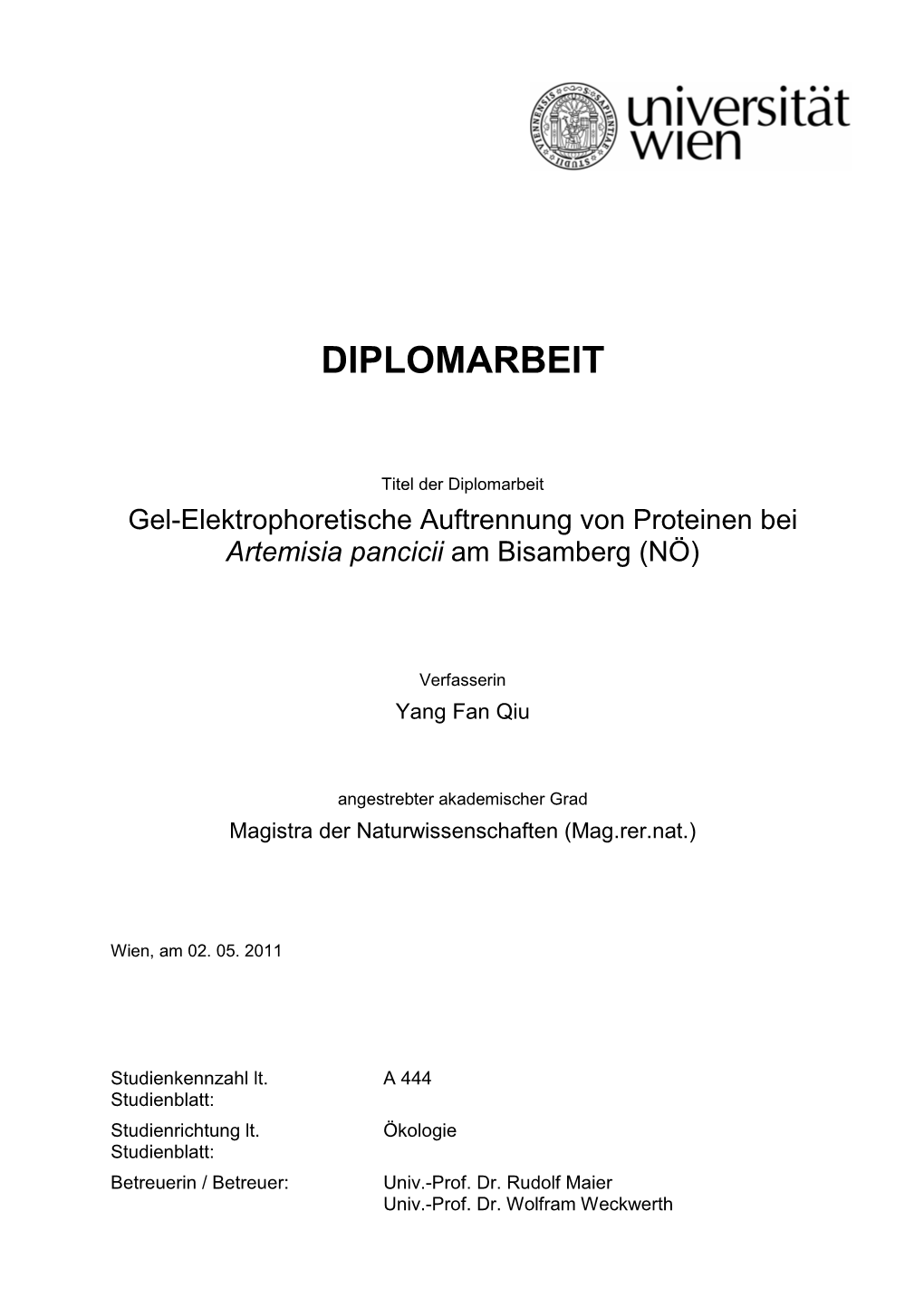 Diplomarbeit Endversion 02.05.11