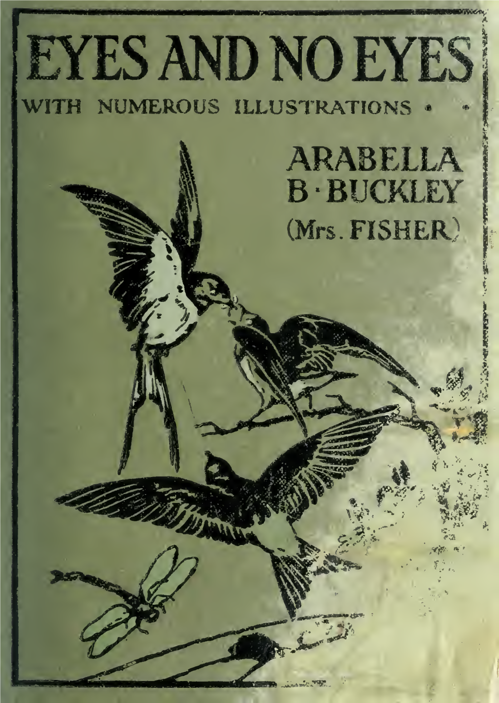 WITH NUMEROUS ILLUSTRATIONS • • ARABELLA B BUCKLEY (Mrs