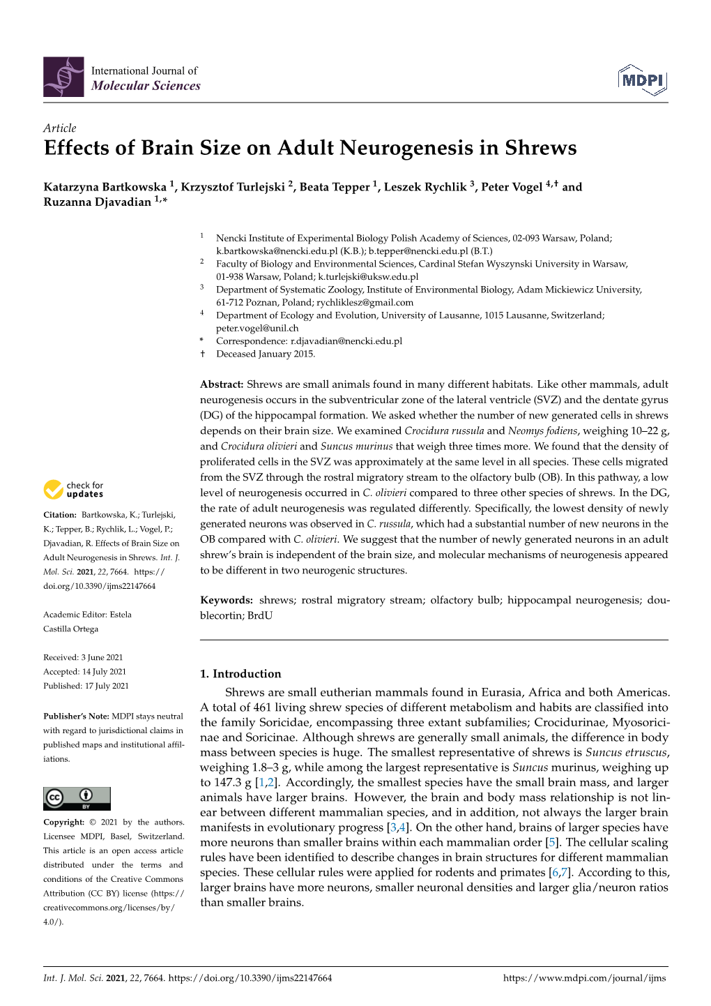 Effects of Brain Size on Adult Neurogenesis in Shrews