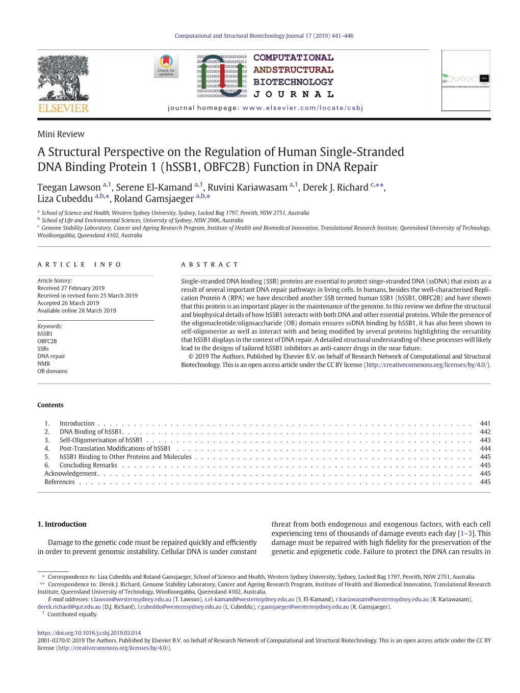 A Structural Perspective on the Regulation of Human Single-Stranded DNA Binding Protein 1 (Hssb1, OBFC2B) Function in DNA Repair