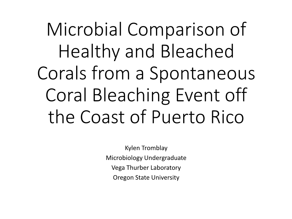 Microbial Comparison of Healthy and Bleached Corals from a Spontaneous Coral Bleaching Event Off the Coast of Puerto Rico