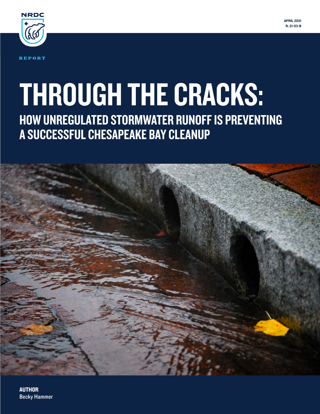 Through-Cracks-Stormwater-Runoff-Chesapeake-Bay-Report.Pdf