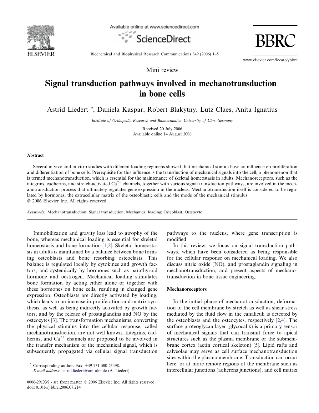 Signal Transduction Pathways Involved in Mechanotransduction in Bone Cells