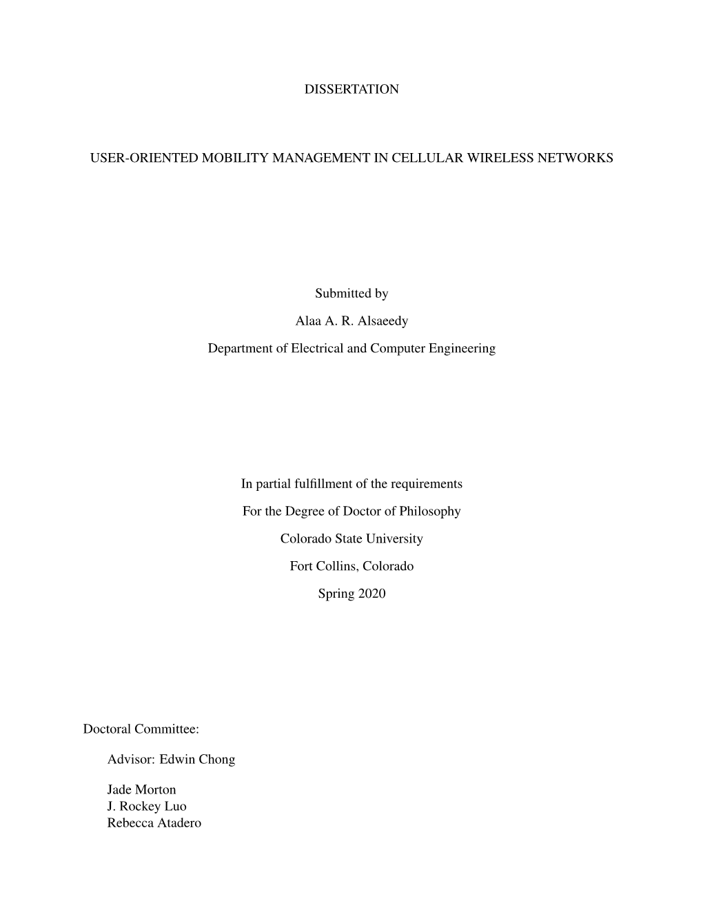 User-Oriented Mobility Management in Cellular Wireless Networks