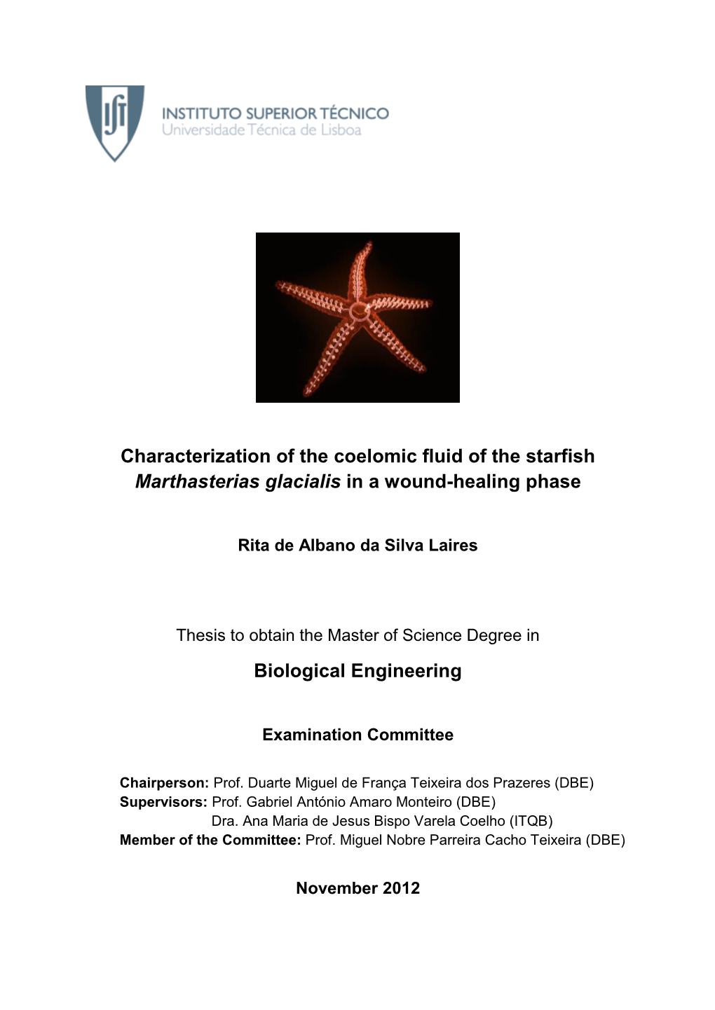 Characterization of the Coelomic Fluid of the Starfish Marthasterias Glacialis in a Wound-Healing Phase Biological Engineering