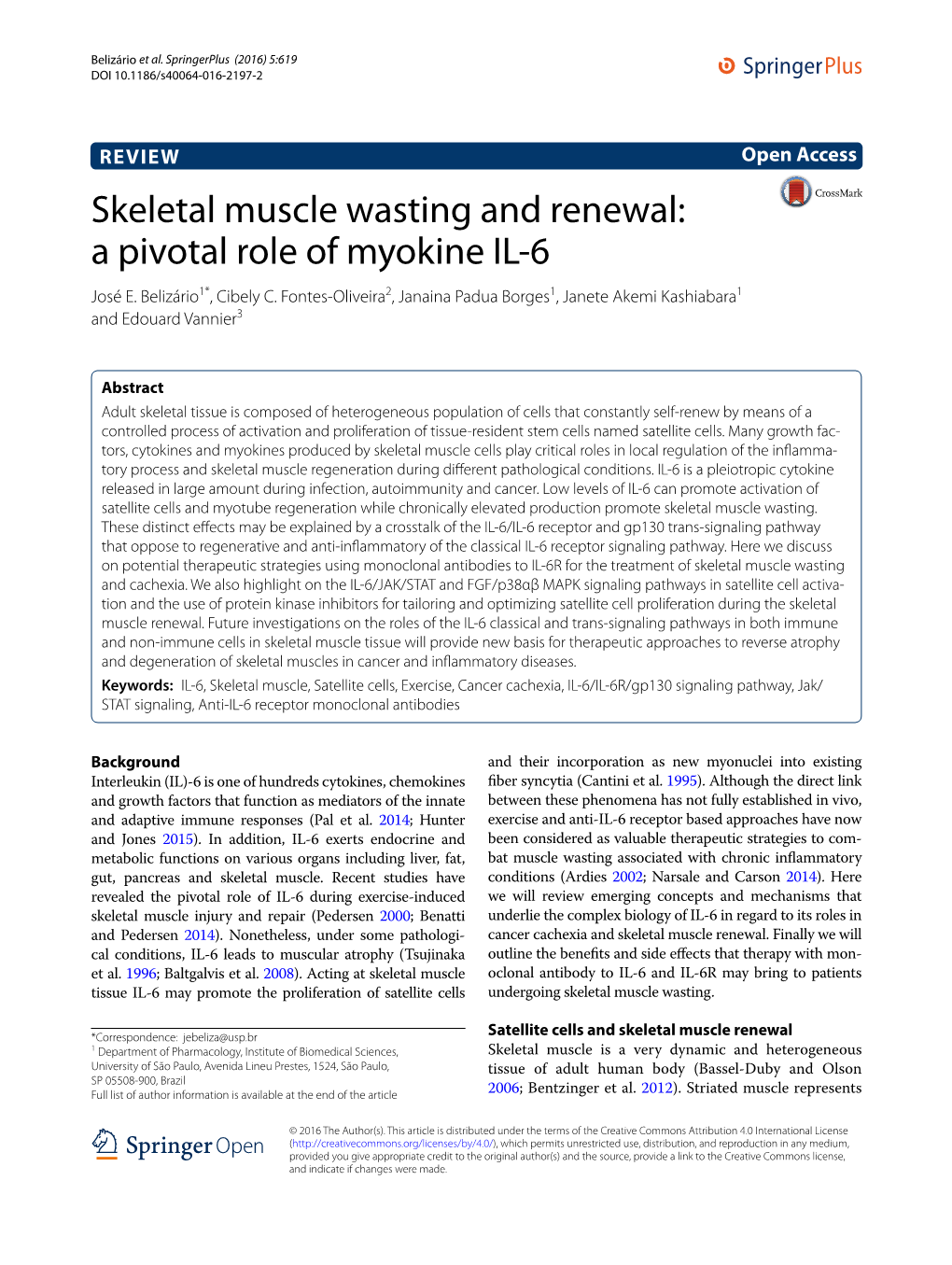 Skeletal Muscle Wasting and Renewal: a Pivotal Role of Myokine IL-6