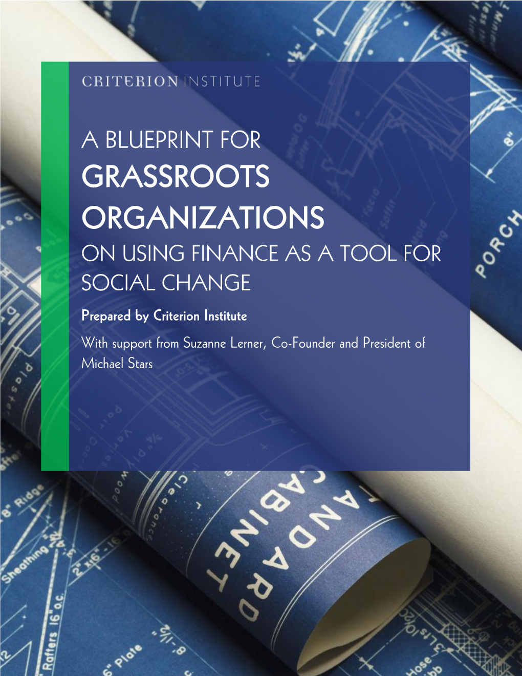 Blueprint for Grassroots Organizations