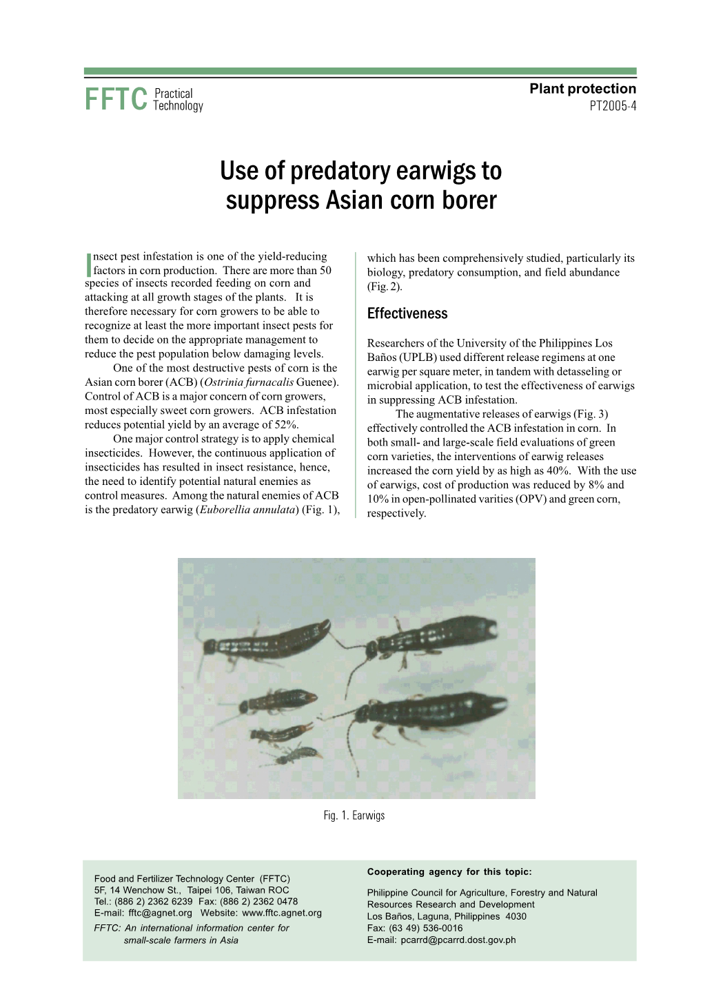 Use of Predatory Earwigs to Suppress Asian Corn Borer