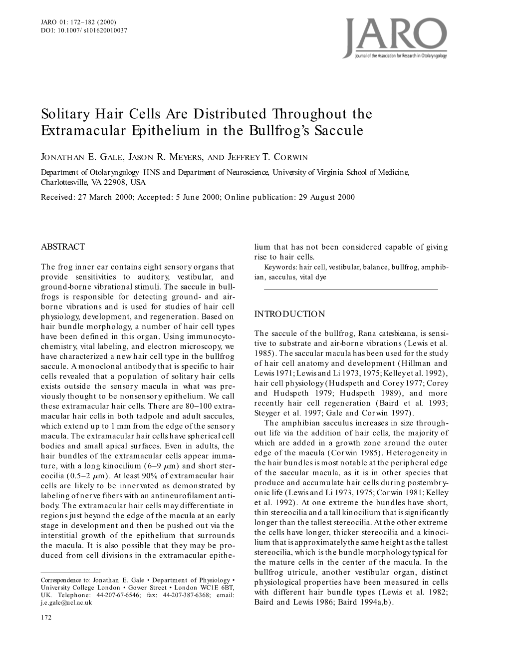 Solitary Hair Cells Are Distributed Throughout the Extramacular Epithelium in the Bullfrog’S Saccule