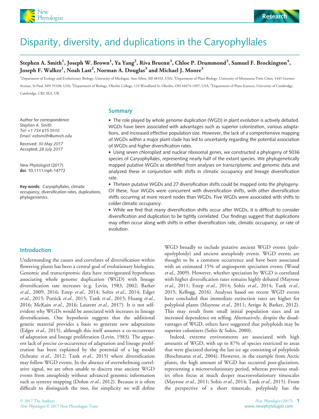 Disparity, Diversity, and Duplications in the Caryophyllales