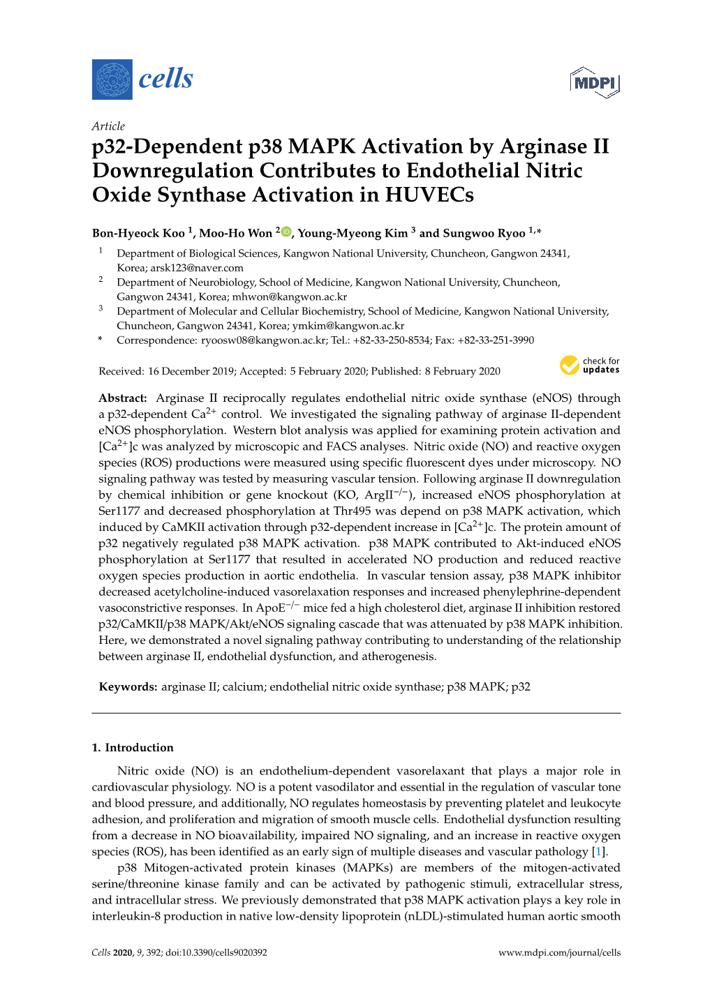 P32-Dependent P38 MAPK Activation by Arginase II Downregulation Contributes to Endothelial Nitric Oxide Synthase Activation in Huvecs