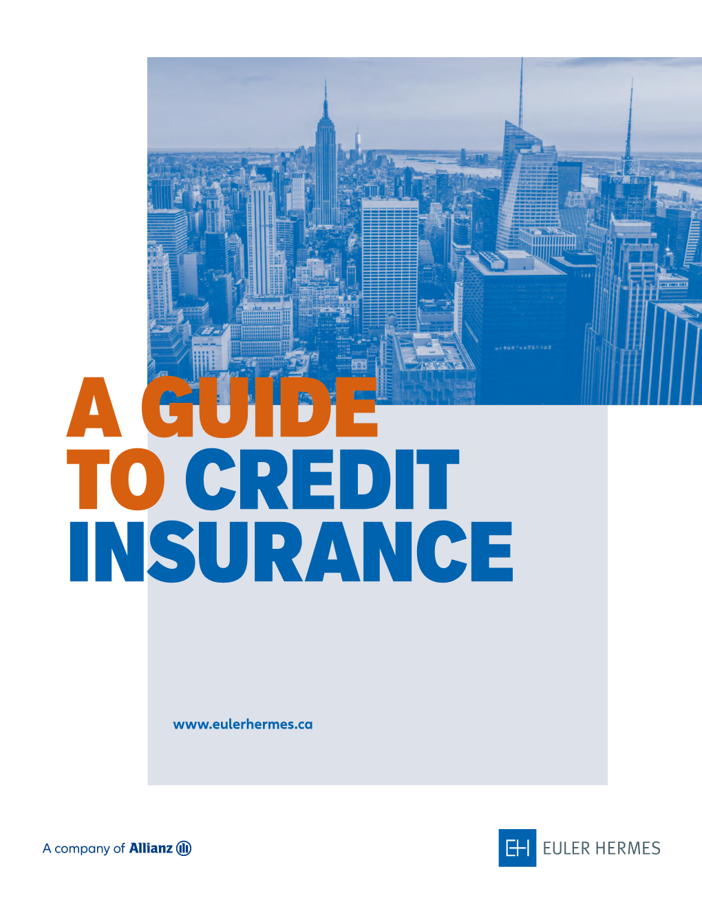 A Guide to Credit Insurance