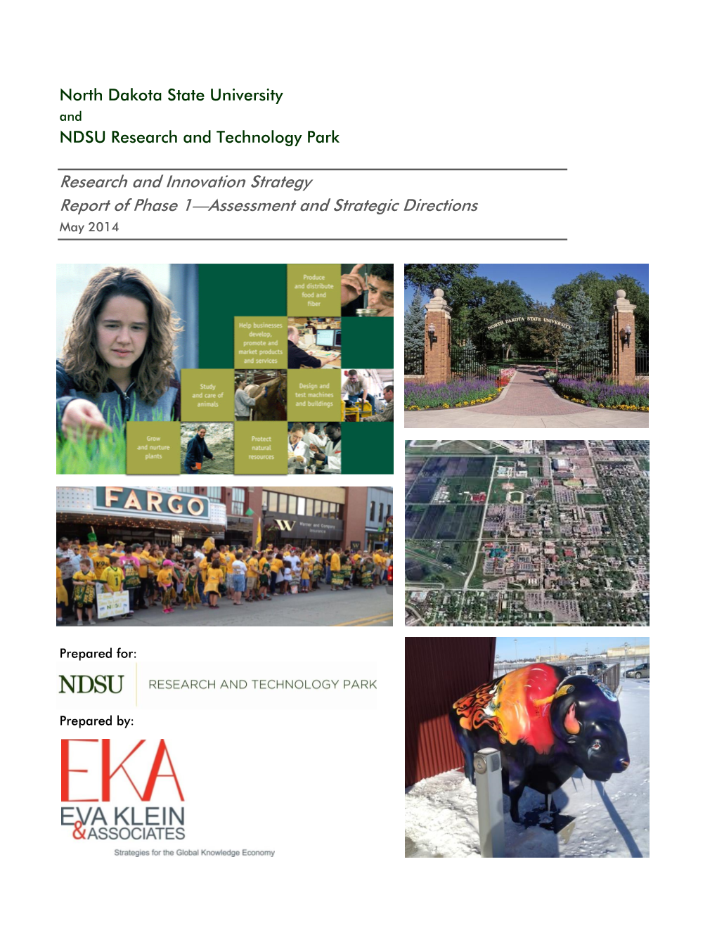 Research and Innovation Strategy Report of Phase 1—Assessment and Strategic Directions May 2014