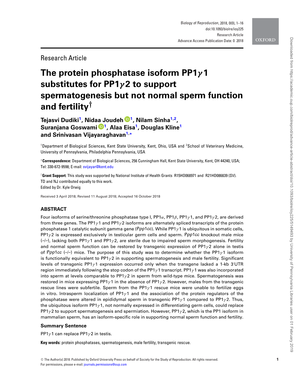 2 to Support Spermatogenesis but Not Normal Sperm Function and Fertility†