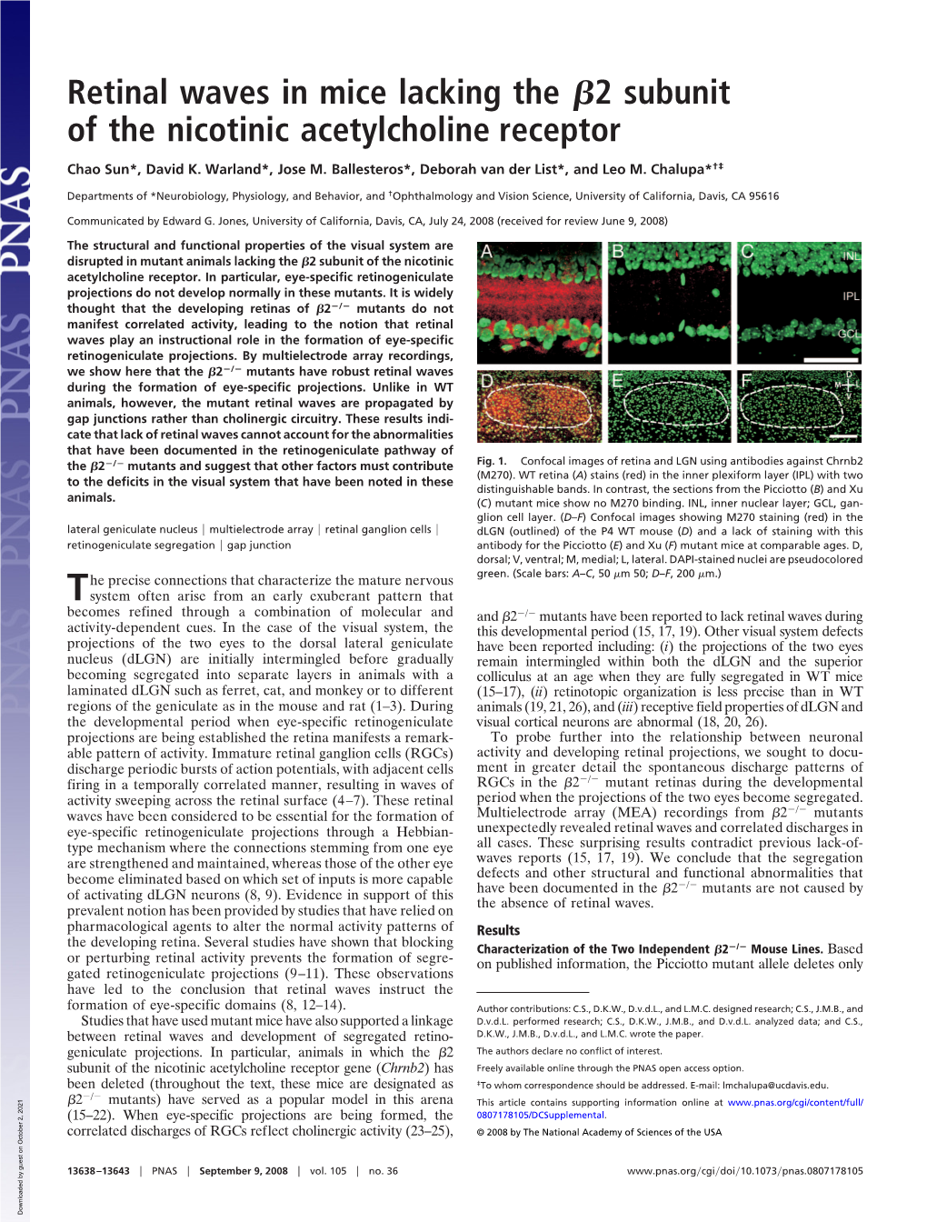 Retinal Waves in Mice Lacking the 2 Subunit of the Nicotinic