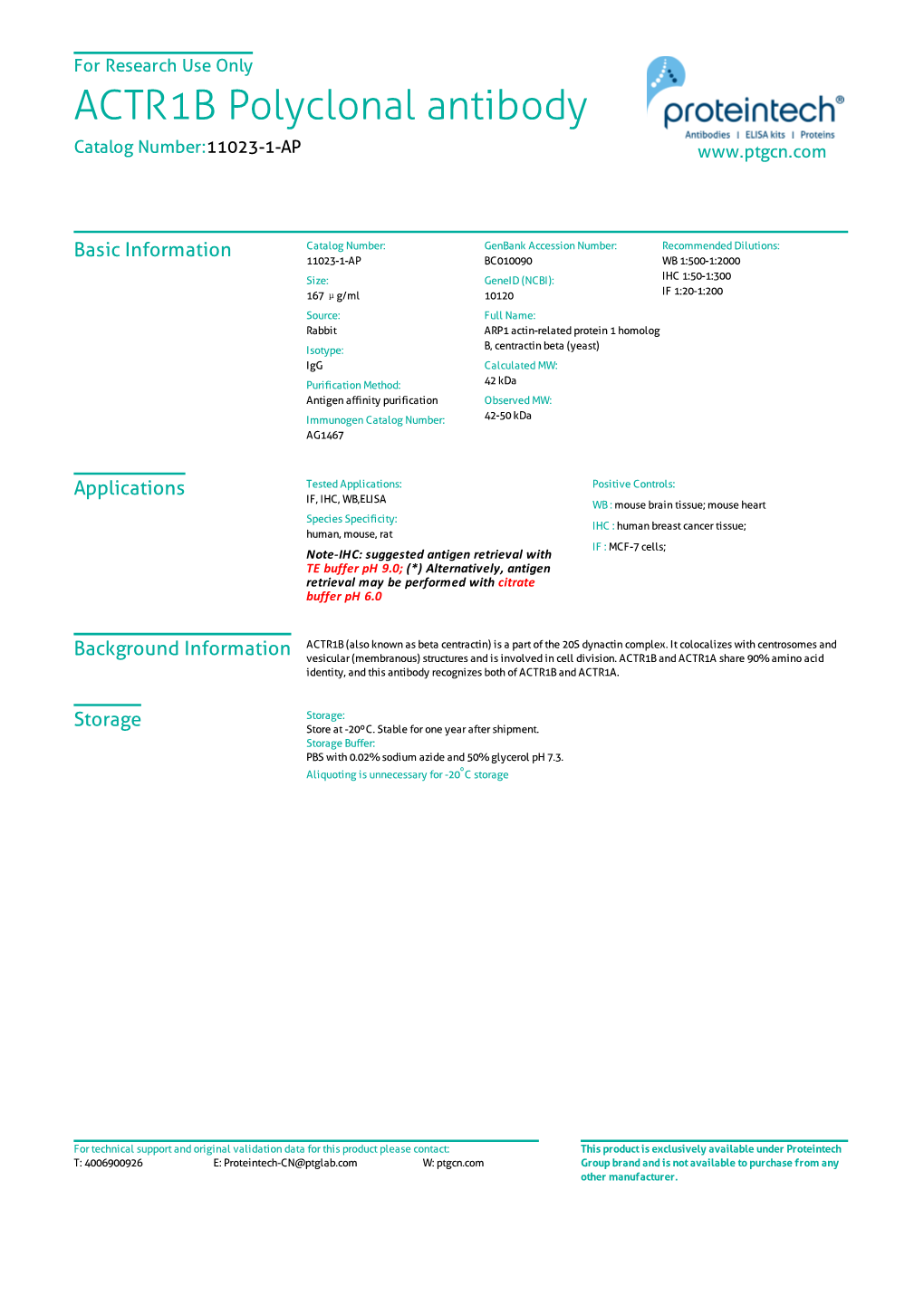 ACTR1B Polyclonal Antibody