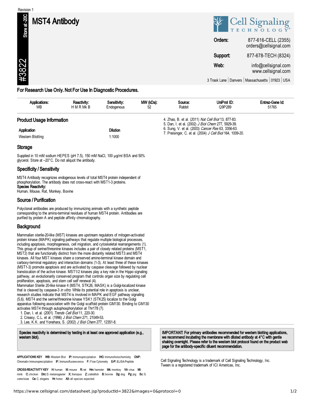 MST4 Antibody A