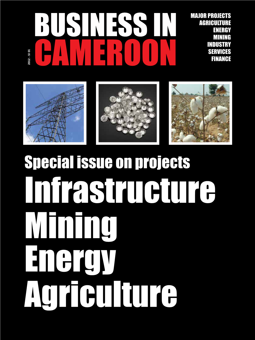 Special Issue on Projects Infrastructure Mining Energy Agriculture