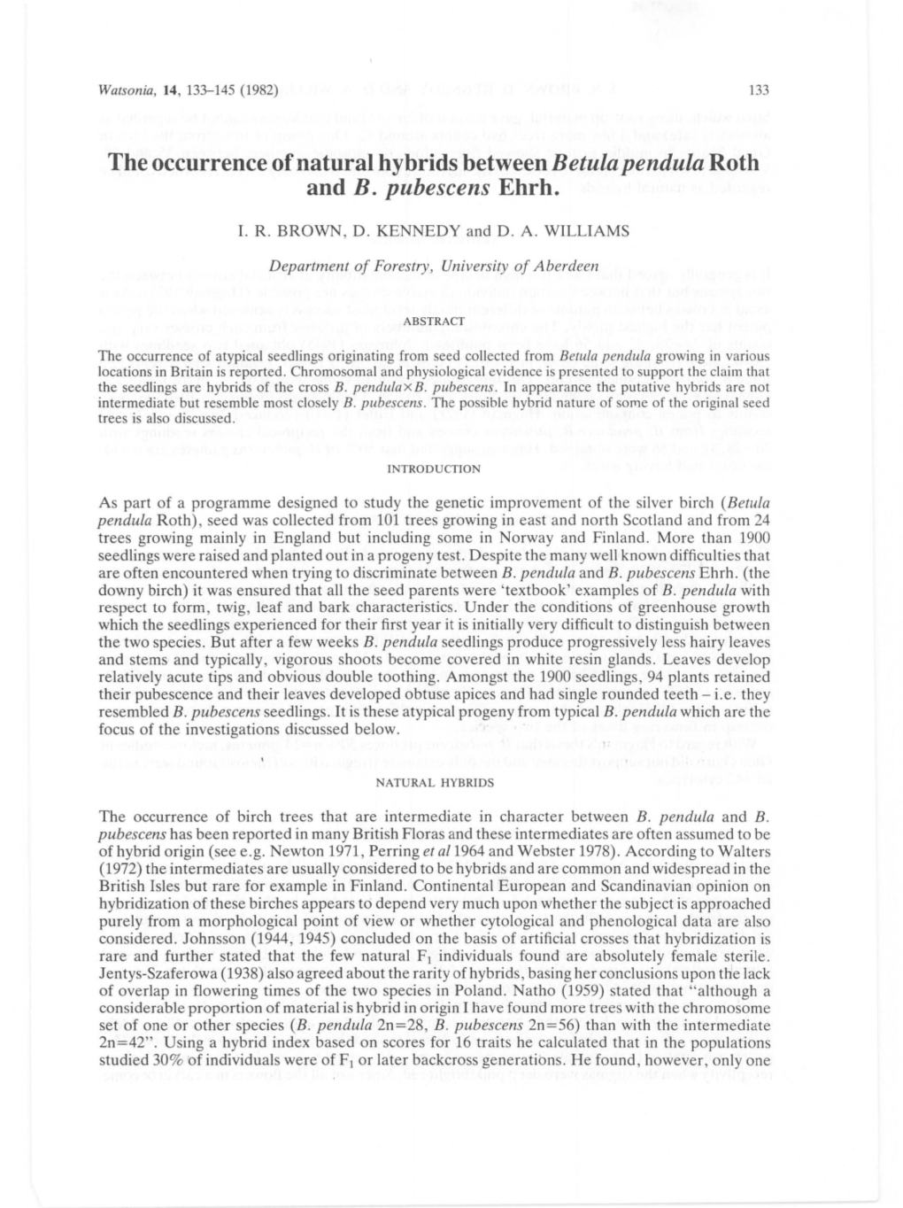 The Occurrence of Natural Hybrids Between Betula Pendula Roth and B. Pubescens Ehrh