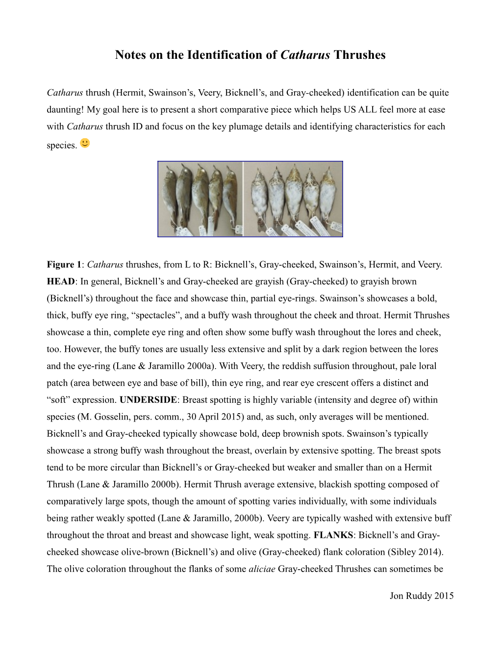 Notes on the Identification of Catharus Thrushes