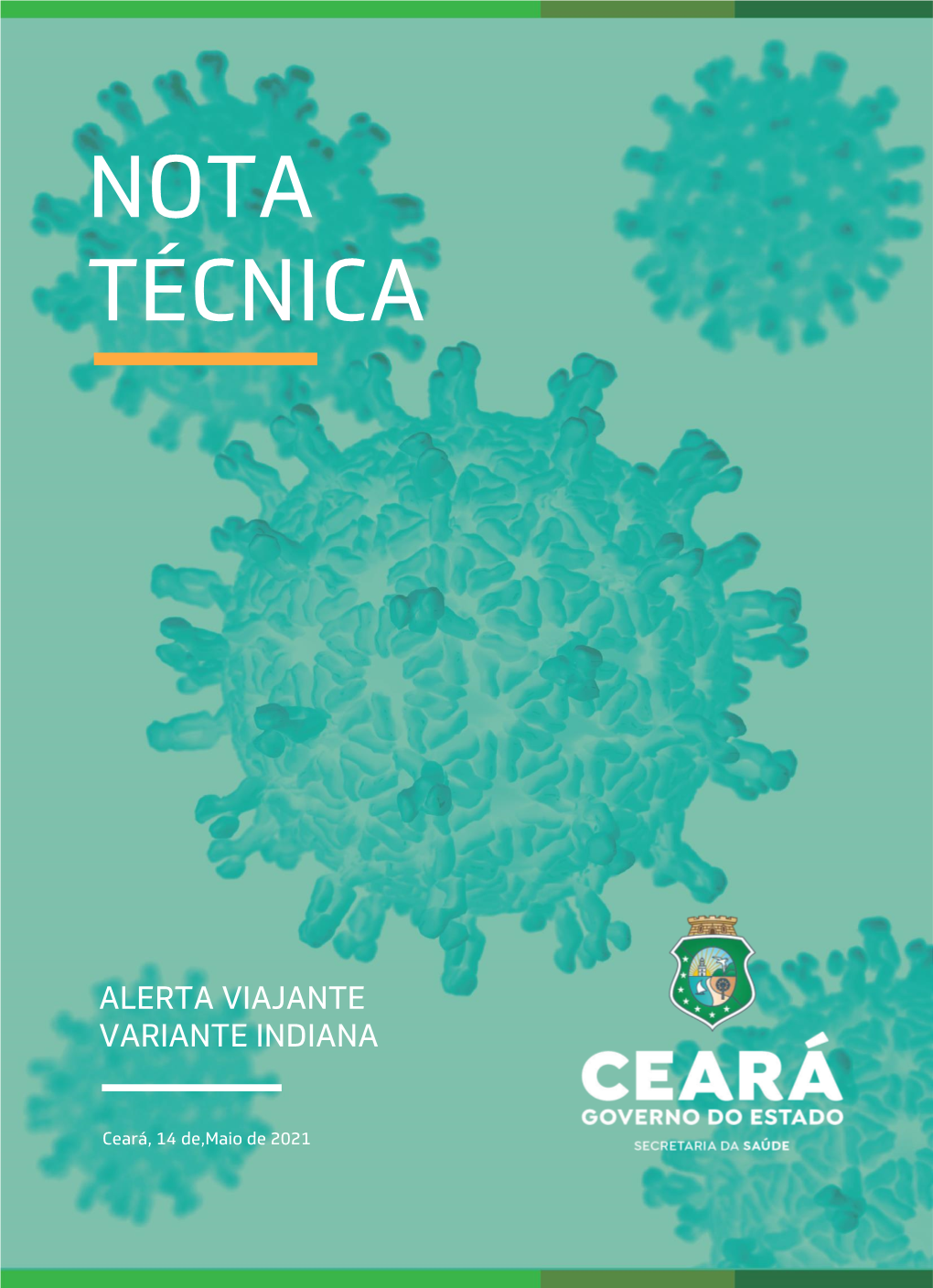 Nota Técnica | Alerta Variante Índia