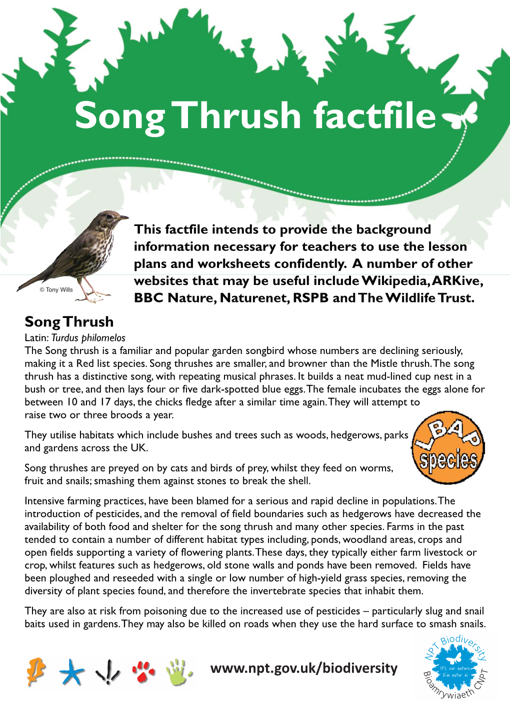 Song Thrush Factfile