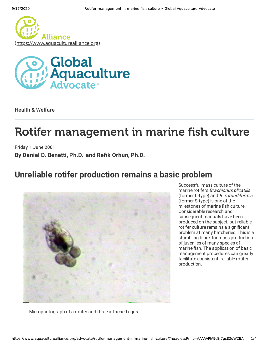 Rotifer Management in Marine Fish Culture