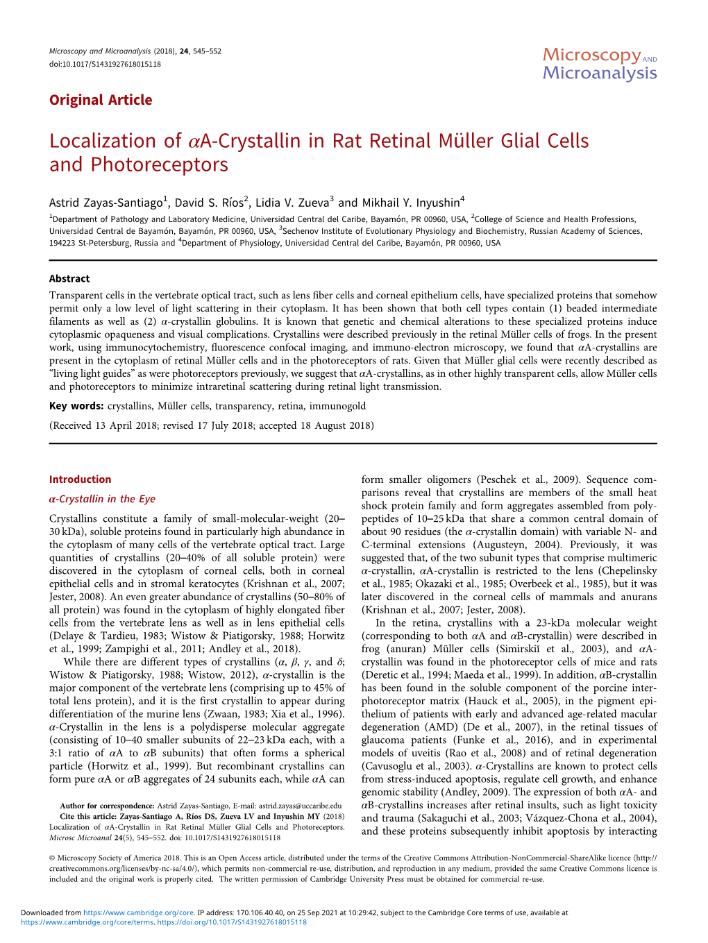 Localization of Αa-Crystallin in Rat Retinal Müller Glial Cells and Photoreceptors