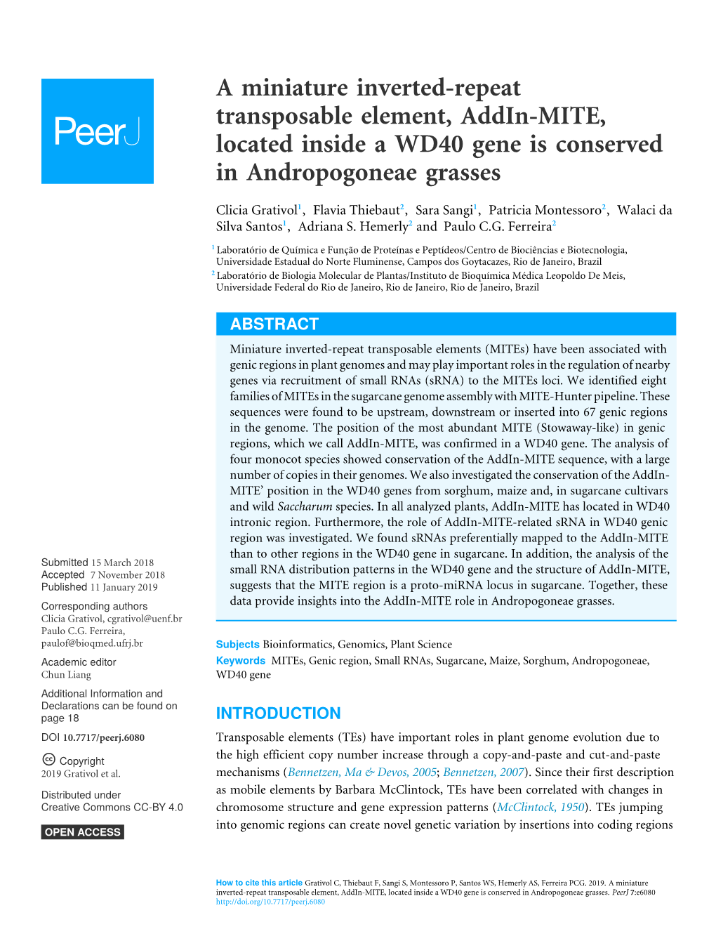 A Miniature Inverted-Repeat Transposable Element, Addin-MITE, Located Inside a WD40 Gene Is Conserved in Andropogoneae Grasses