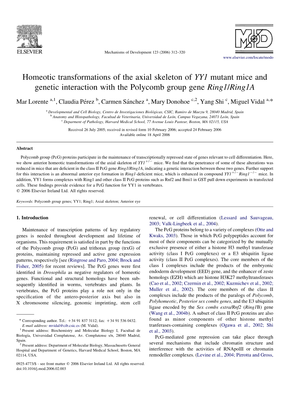 Homeotic Transformations of the Axial Skeleton of YY1 Mutant Mice and Genetic Interaction with the Polycomb Group Gene Ring1/Ring1a