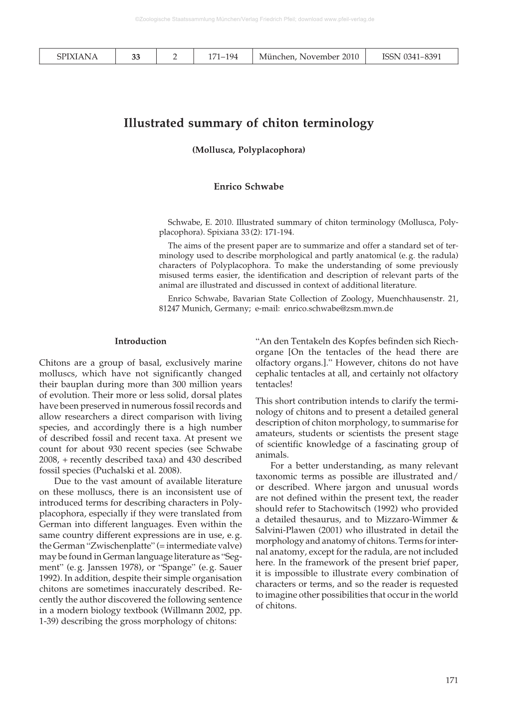 Illustrated Summary of Chiton Terminology