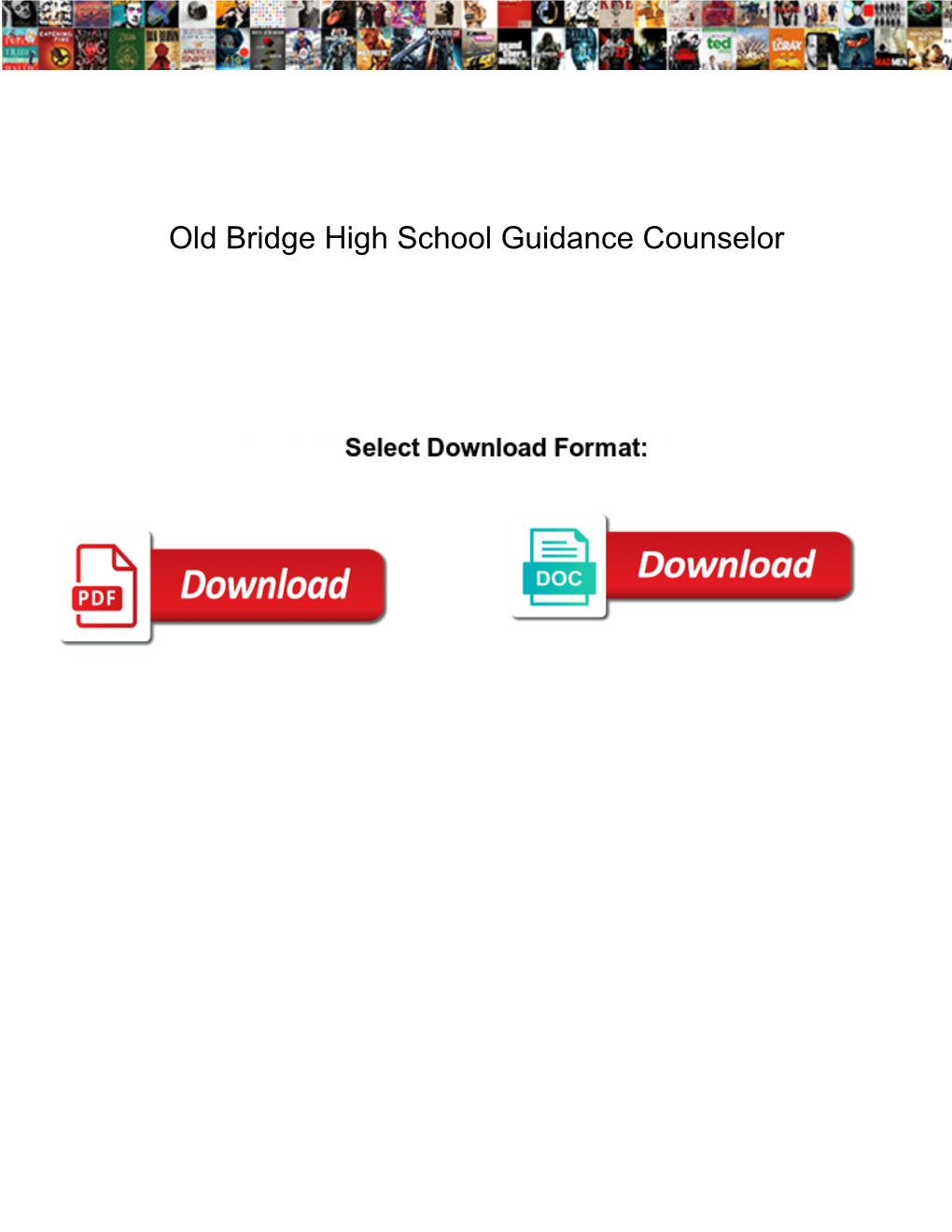 Old Bridge High School Guidance Counselor