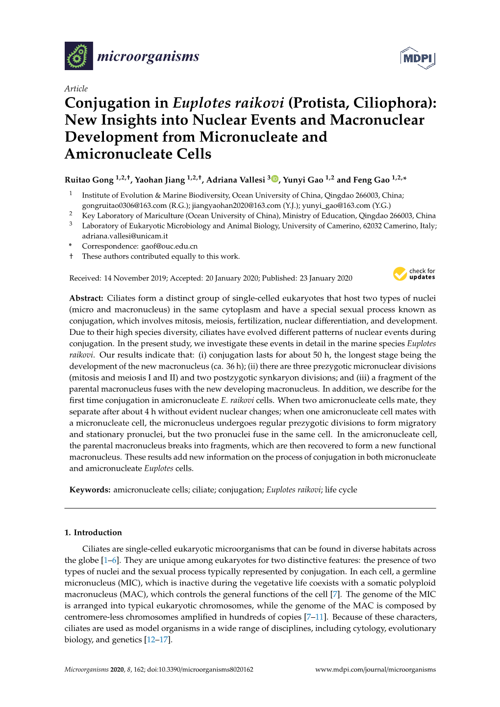 Conjugation in Euplotes Raikovi (Protista, Ciliophora): New Insights Into Nuclear Events and Macronuclear Development from Micronucleate and Amicronucleate Cells