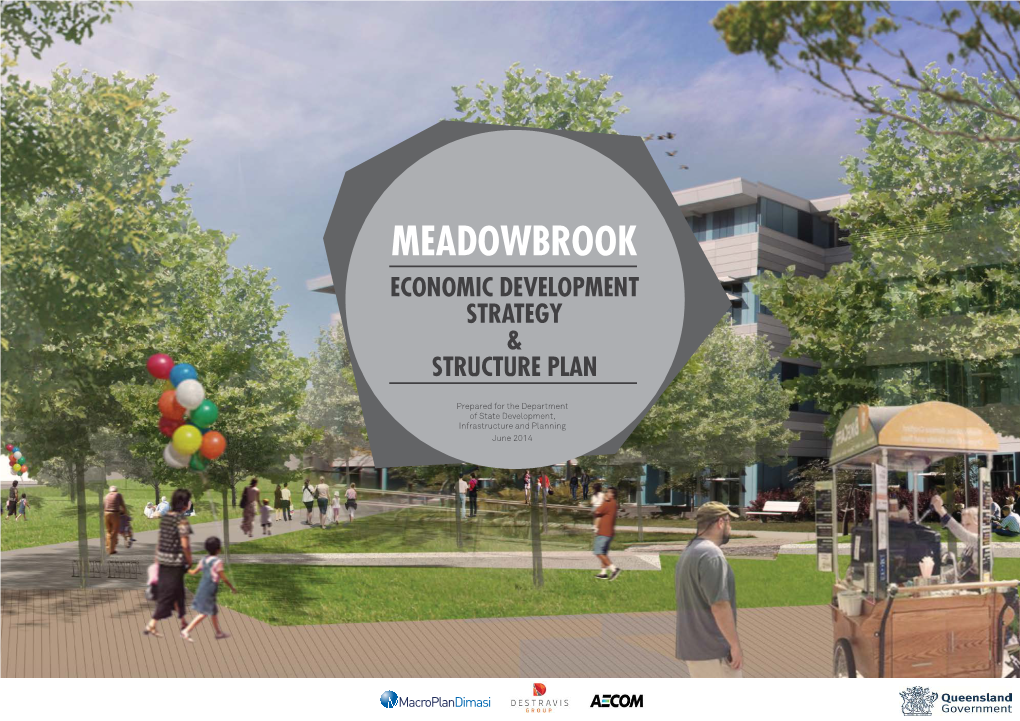 Meadowbrook Economic Development Strategy And