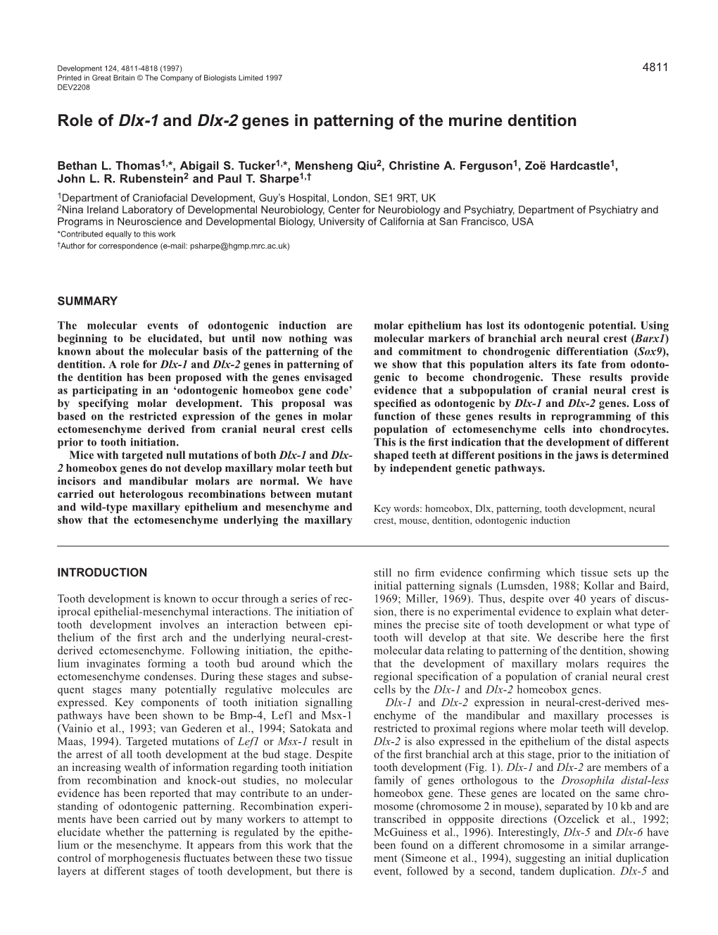 Role of Dlx-1 and Dlx-2 Genes in Patterning of the Murine Dentition