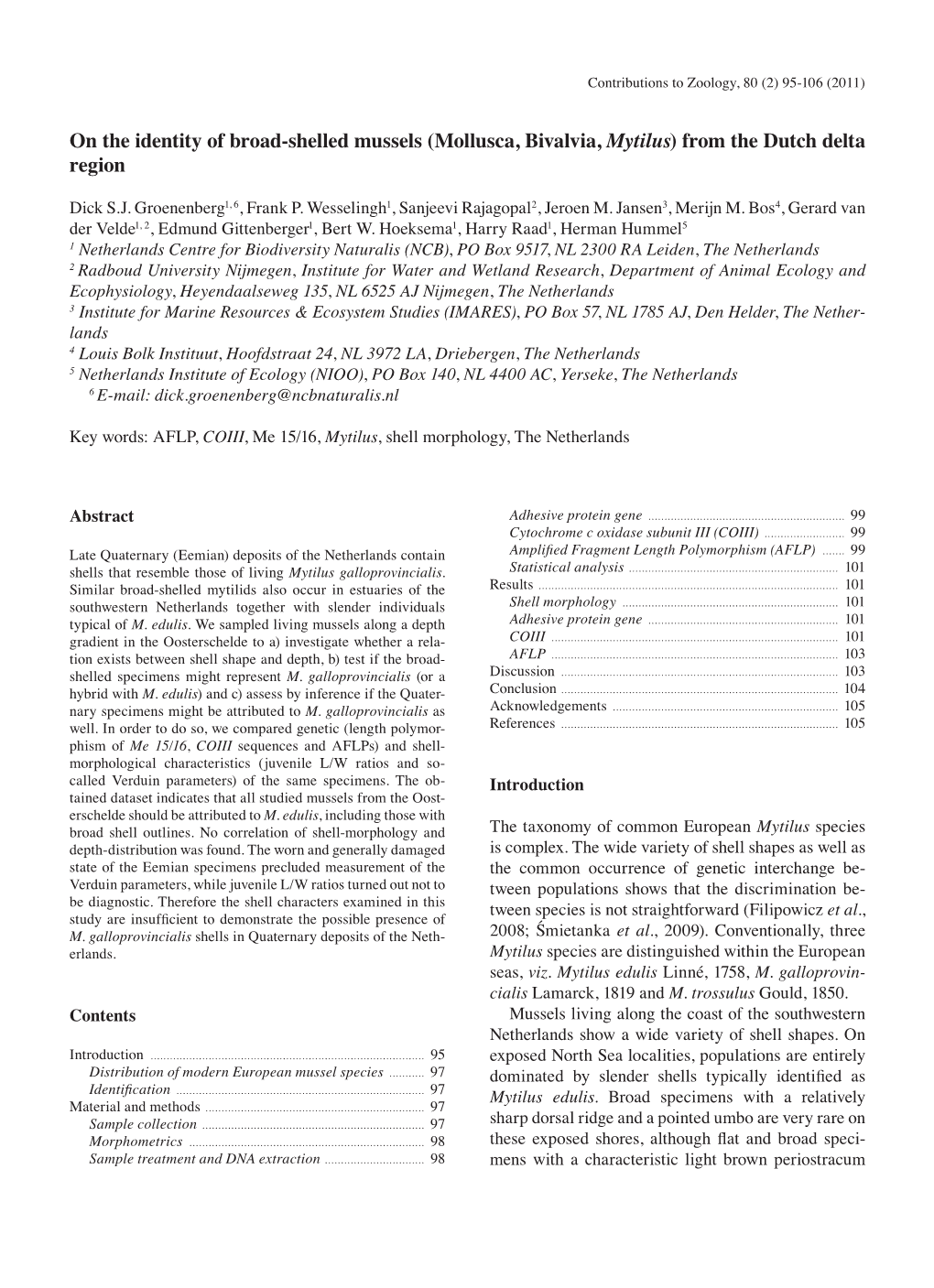 On the Identity of Broad-Shelled Mussels (Mollusca, Bivalvia, Mytilus) from the Dutch Delta Region