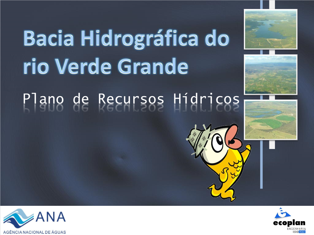 Plano De Recursos Hídricos Andamento Dos Trabalhos De Elaboração Do PRH Verde Grande