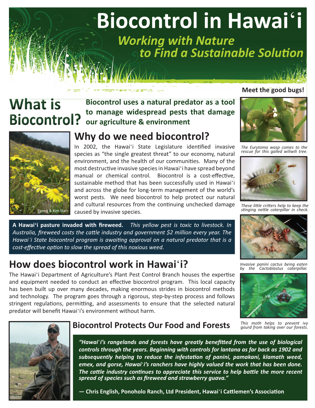 Biocontrol in Hawai'i