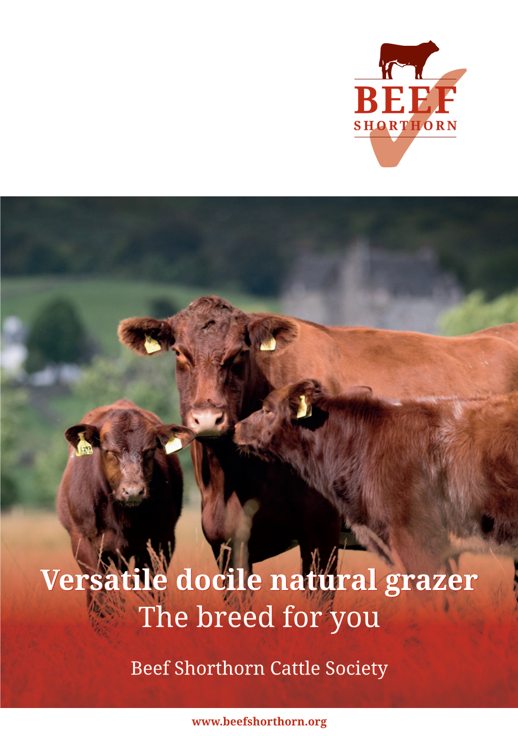 Versatile Docile Natural Grazer the Breed for You