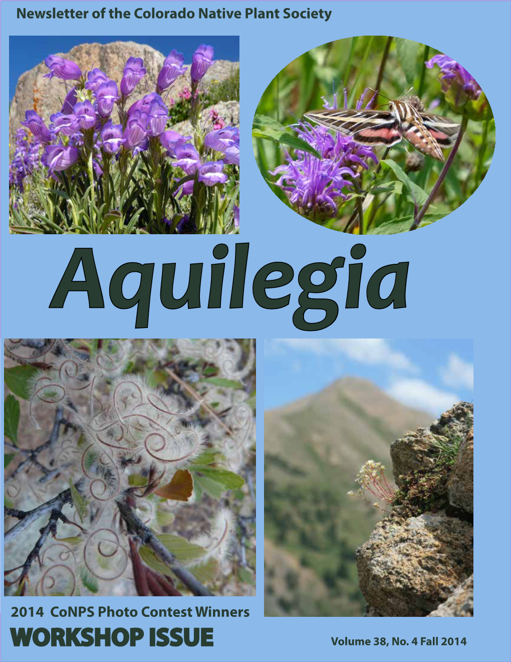 Workshop Issue of Aquilegia and Conps’ New Workshop Chair, Ronda Koski, Has Done an Excellent Job of Arranging a Number of Interesting Workshops Throughout the State