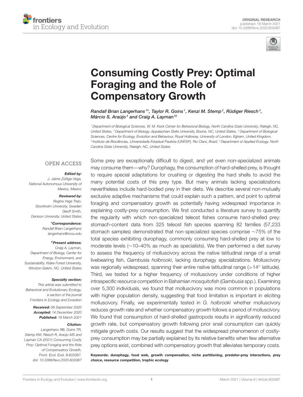 Optimal Foraging and the Role of Compensatory Growth