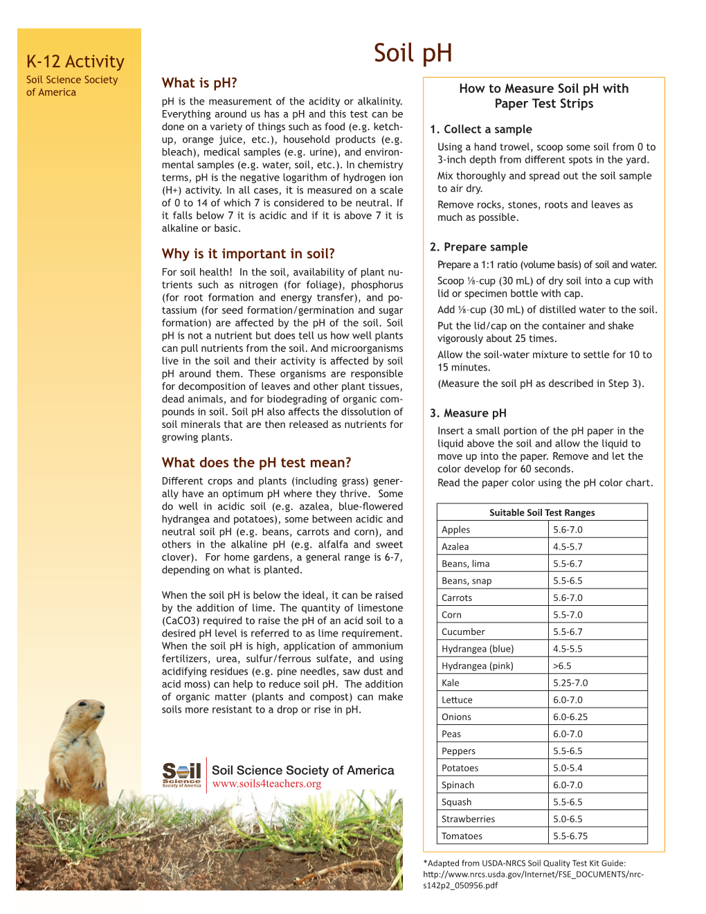 Learn More with This Soil Ph Activity